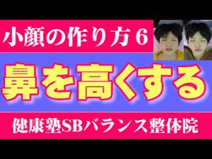 Read more about the article 鼻を高くする　小顔6　大阪市阿倍野区昭和町「健康塾」