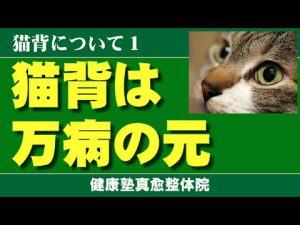 Read more about the article 猫背