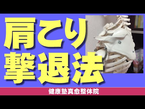 You are currently viewing 肩こりを一発で解消する体操　大阪市阿倍野区昭和町「健康塾」